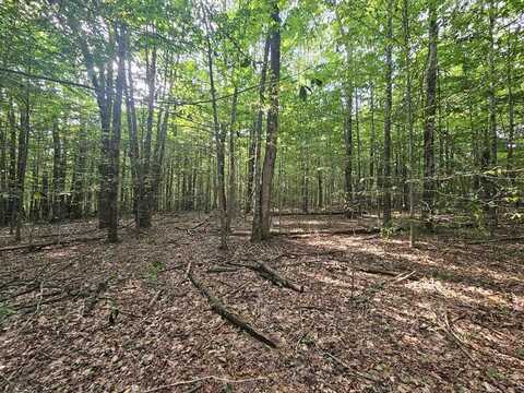 30.00 Acres James Road, Warren Center, PA 18851