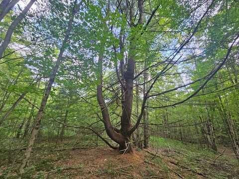 24.55 Acres Highland Lake Road, Warren Center, PA 18851