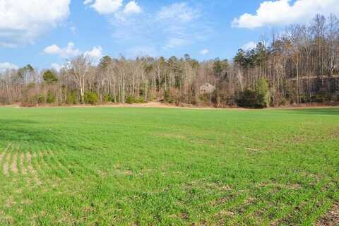 8.03 New Hope Road, Ellijay, GA 30536