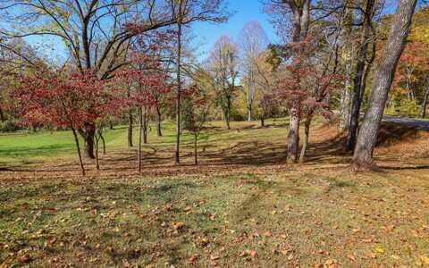 Lot 1 Hinton Overlook, Hayesville, NC 28904