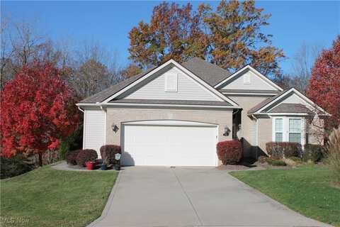 4749 Danforth Reserve, Stow, OH 44224