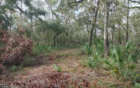 000 NW FOX RUN TRAIL, Mayo, FL 32066