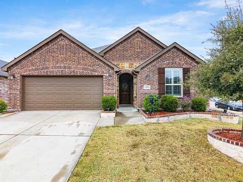 1200 Roadrunner Drive, Little Elm, TX 75068