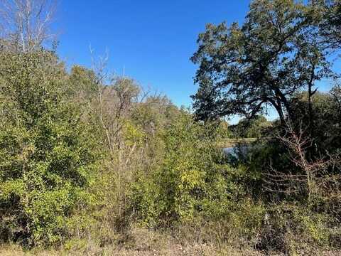 68 April Cove, Streetman, TX 75859