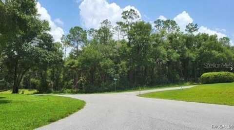 00 SW 192nd Circle, Dunnellon, FL 34432