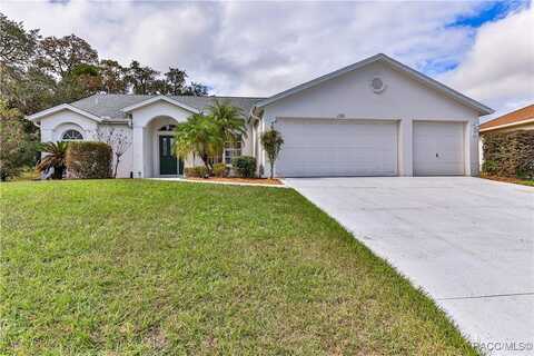 136 N SKYFLOWER Point, Lecanto, FL 34461