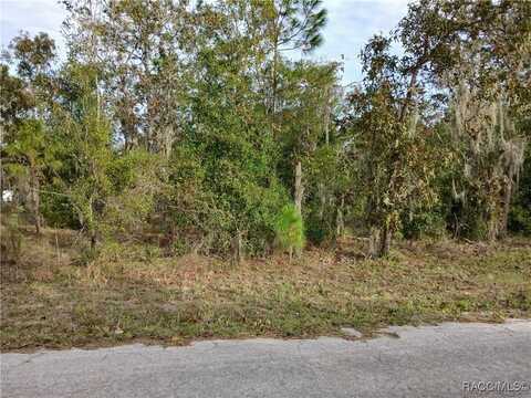 11755 N Belluzzi Terrace, Dunnellon, FL 34433