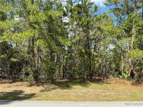 3 Cosmos Court W, Homosassa, FL 34446