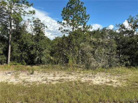 3024 W Marie Drive, Citrus Springs, FL 34433