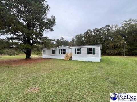 917 Back Swamp Road, Lynchburg, SC 29080