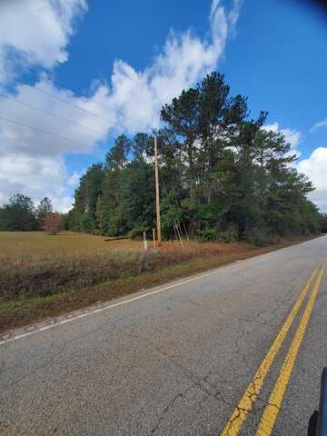 Lot 2 Eagle Road, Sumter, SC 29154