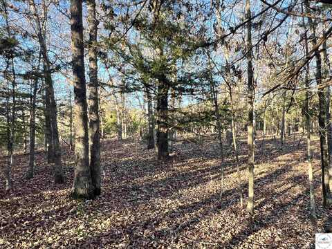 Lot 9 Timberlake Ranch, Georgetown, Warsaw, MO 65355