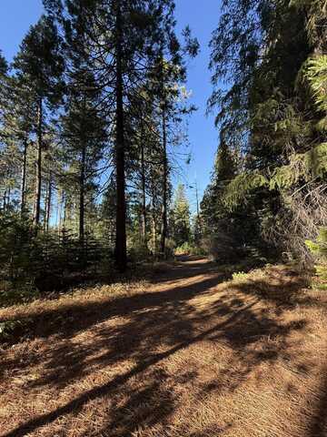 Hidden Meadows Road, Shingletown, CA 96088