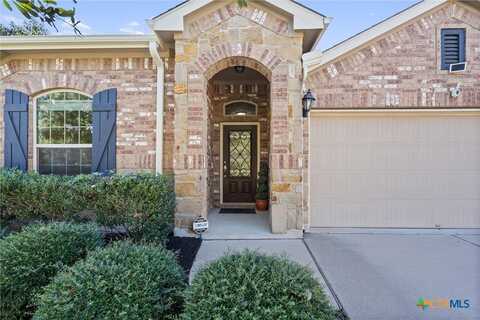 334 Briar Park Drive, Georgetown, TX 78626