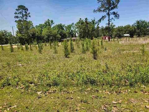 Lot 6 SW Azalea Street, Bristol, FL 32321