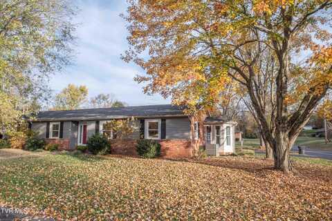 501 Nankatie Drive, Kingsport, TN 37663