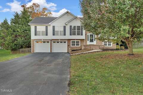 294 Oriole Lane, Telford, TN 37690