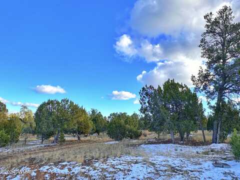 3319 Sawmill Ridge Loop, Heber, AZ 85928