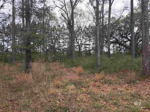 1 Deer Crest Court, Grand Bay, AL 36541