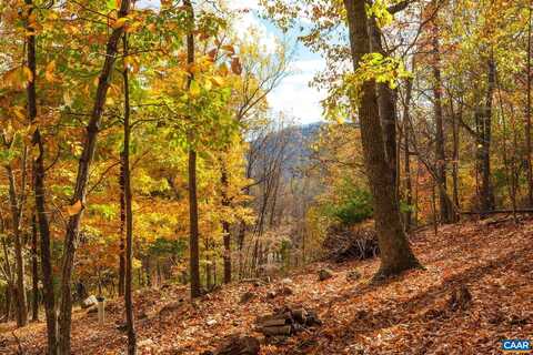 TREE HOUSE PL, NELLYSFORD, VA 22958