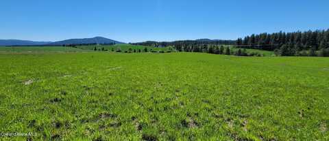 L4 BA Sunny Slopes Rd, Worley, ID 83876