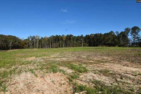Lot 8 Gold Nugget Point, Prosperity, SC 29127