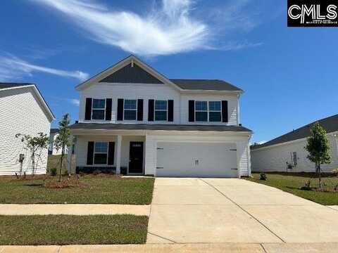 734 Common Widgeon (lot 179) Way, Hopkins, SC 29061