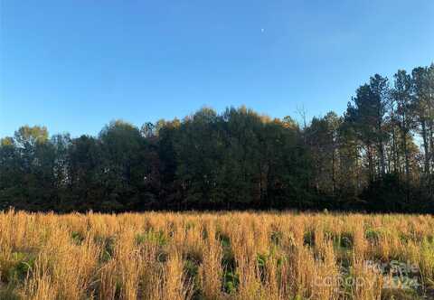 Vacant Biles Road, Albemarle, NC 28001