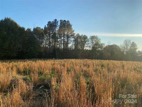 Vacant Biles Road, Albemarle, NC 28001