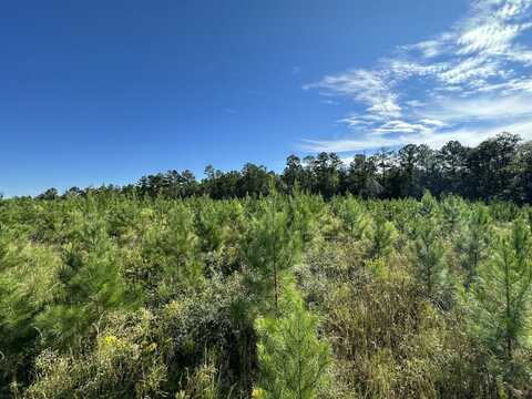 Parcel M Buck Tyner Road, Laurel Hill, FL 32567