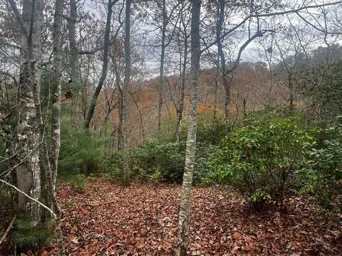 Lot 19 Deerwood Dr, Franklin, NC 28734