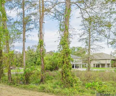 47313 AMITE RIVER RD, Saint Amant, LA 70774