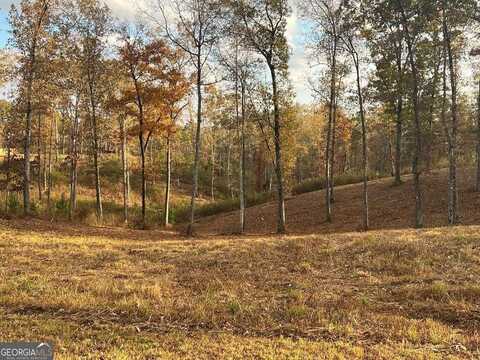 Lot 104 High River, Ellijay, GA 30540