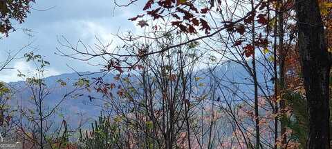 Lot 100 Timber Creek, Clayton, GA 30525