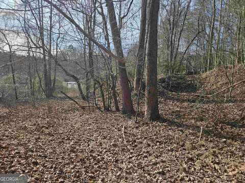 6.05 Ac S. Chestatee, Dahlonega, GA 30533