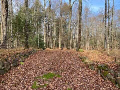 Lot #9 YELLOW BIRCH RD, Presque Isle, WI 54557