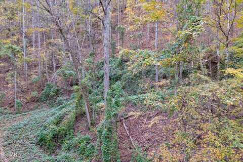 Lots 1,2,3 Timber Grove Road, Sevierville, TN 37862