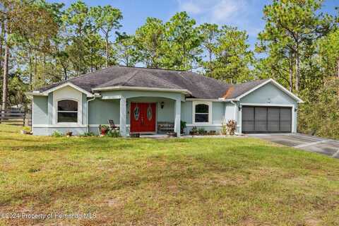 17439 Macassar Road, Brooksville, FL 34614