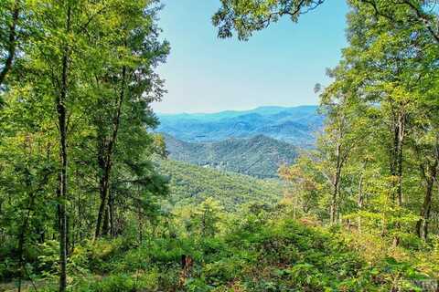 0 Buck Knob Road, Scaly Mountain, NC 28775