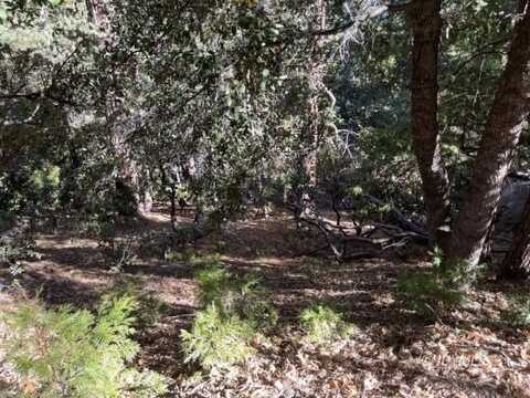 Lakeview DR, Idyllwild-Pine Cove, CA 92549