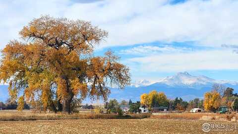 7800 County Road 1, Longmont, CO 80504