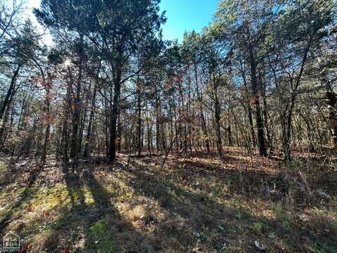 20 Acres Persimmon Point Road, Lead Hill, AR 72644