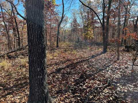 0000 partridge Drive, Climax Springs, MO 65324