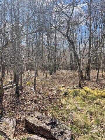 Buck Hill Rd 72, Tunkhannock, PA 18610