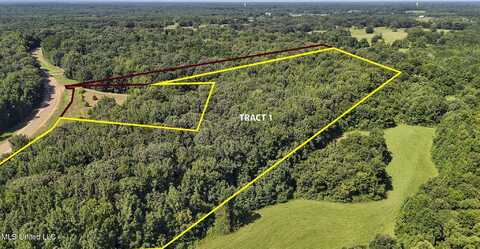 Tract 1 Mississippi Hwy 315, Sardis, MS 38666
