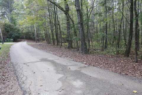 0 Westline Lots Drive, Madison, MS 39110