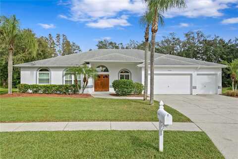 23051 CYPRESS TRAIL DRIVE, LUTZ, FL 33549