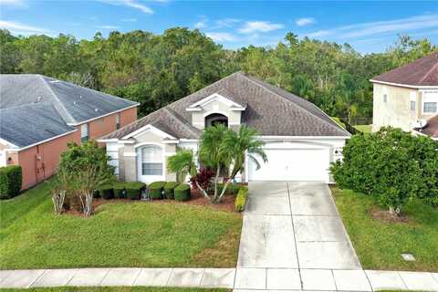 3179 HANGING MOSS CIRCLE, KISSIMMEE, FL 34741