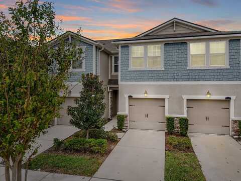 11676 CAMBIUM CROWN DRIVE, RIVERVIEW, FL 33569