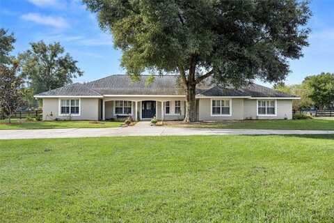 22722 WOLF BRANCH ROAD, SORRENTO, FL 32776